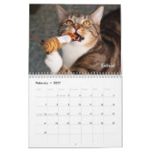 Amanda Blume Cat Calendar 2025 Kalender (Feb 2027)