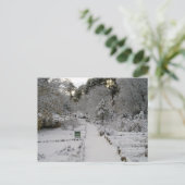 Amanecer Nevado Postkarte (Stehend Vorderseite)
