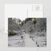Amanecer Nevado Postkarte (Vorne/Hinten)