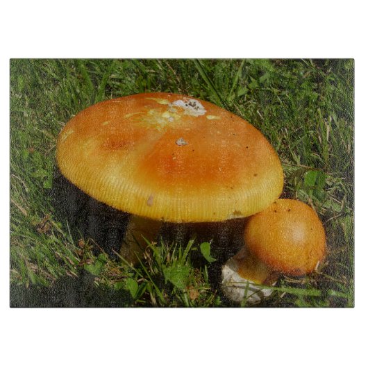 Amanita Caesarea Mushroom Glas Cheminée Schneidebrett (Vorderseite)