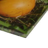 Amanita Caesarea Mushroom Glas Cheminée Schneidebrett (Ecke)