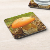 Amanita Caesarea Mushroom Hard Plastics Untersetze Untersetzer (Linke Seite)