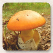 Amanita Caesarea Mushroom Hard Plastics Untersetze Untersetzer (Vorderseite)