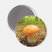 Amanita Caesarea Mushroom Magnet (Vorderseite/Rückseite)