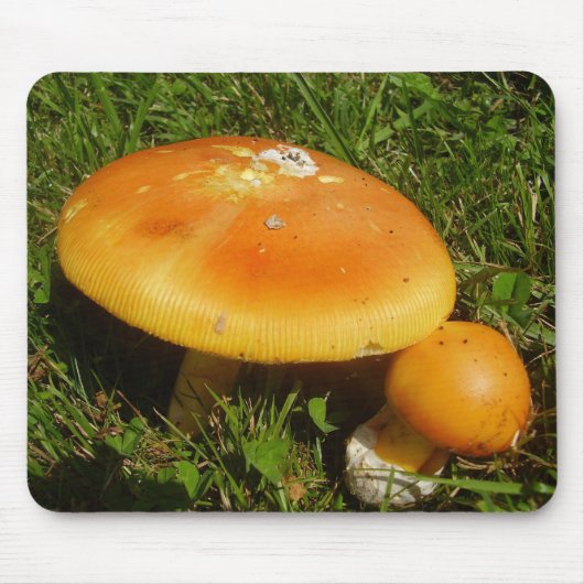 Amanita Caesarea Mushroom Mouse Mat Mousepad (Vorne)