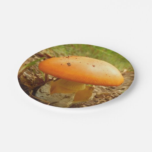 Amanita Caesarea Mushroom Paper Teller (Schrägansicht)