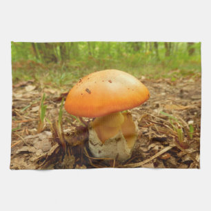 Amanita Caesarea Mushroom Teetuch Handtuch