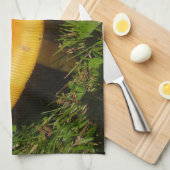 Amanita Caesarea Pilz Handtuch (Viertel Falte)