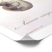 Amanita Caesaria von "Phytographie Medicale" von J Poster (Ecke)