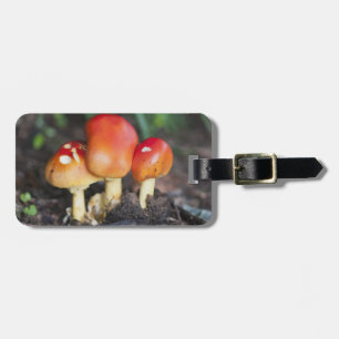 Amanita Familienzimmer Gepäckanhänger