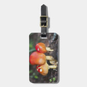 Amanita Familienzimmer Gepäckanhänger (Vorderseite vertikal)