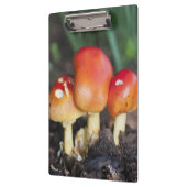 Amanita Familienzimmer Klemmbrett (Links)