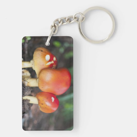 Amanita Familienzimmer Schlüsselanhänger (Rückseite)