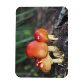 Amanita Magnet (Vertikal)