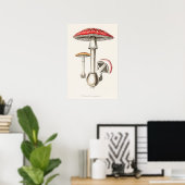 Amanita Muscaria Mushroom Illustration ( Poster (Heimbüro)