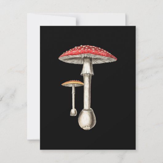 Amanita Muscaria Pilz Botanische Natur Fungi (Vorderseite)
