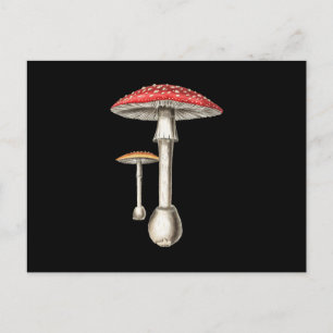 Amanita Muscaria Pilz Botanische Natur Fungi Einladungspostkarte