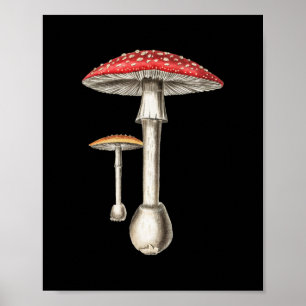 Amanita Muscaria Pilz Botanische Natur Fungi Poster