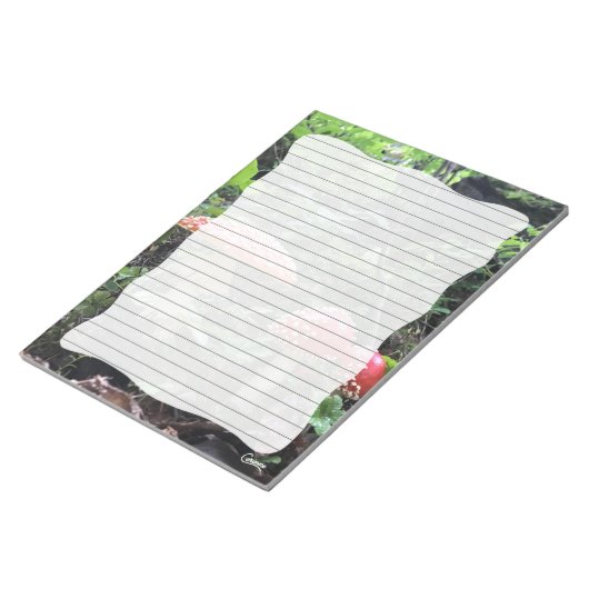 Amanita Muscaria Pilze - 11" x 8,5" Notepad Notizblock (angewinkelt)