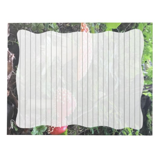 Amanita Muscaria Pilze - 11" x 8,5" Notepad Notizblock (Vorderseite)