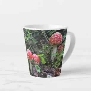 Amanita Muscaria Pilze - 12 oz.Letzte Tasse