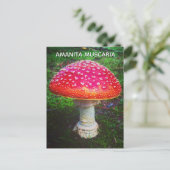 AMANITA MUSCARIA POSTKARTE (Stehend Vorderseite)