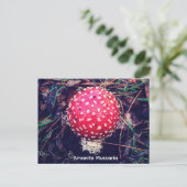 Amanita Muscaria Postkarte (Stehend Vorderseite)