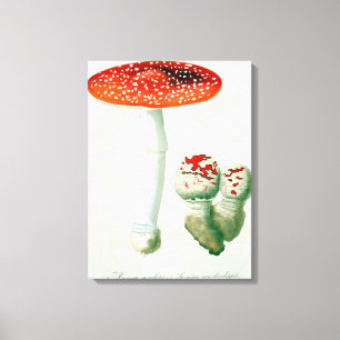 Amanita Muscaria von "Phytographie Medicale" von J Leinwanddruck