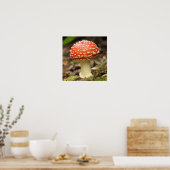 Amanita Mushroom Poster (Küche)