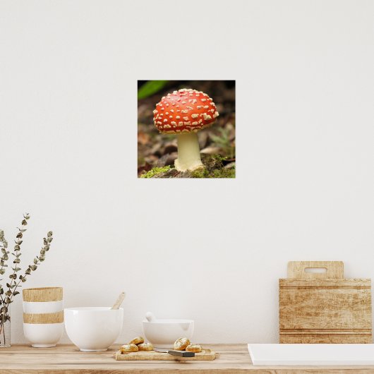 Amanita Mushroom Poster (Küche)