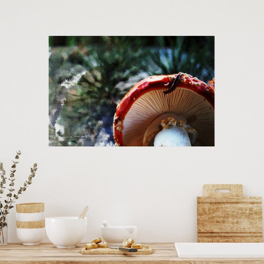Amanita Poster (Küche)
