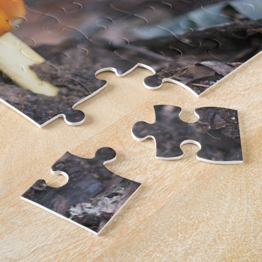 Amanita Puzzle (Seite)