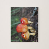 Amanita Puzzle (Vertikal)