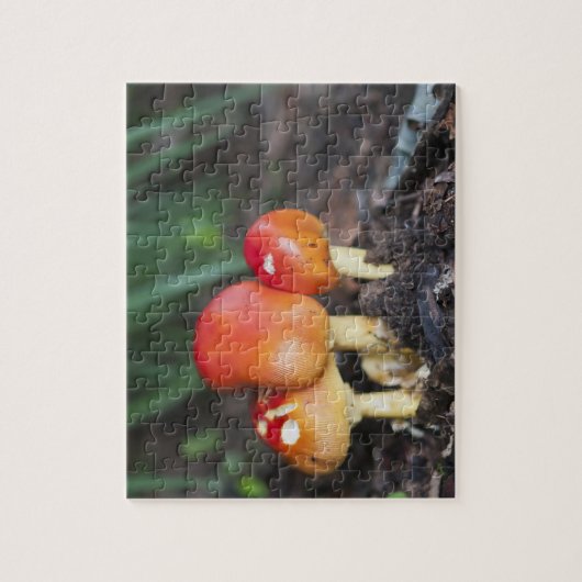 Amanita Puzzle (Vertikal)