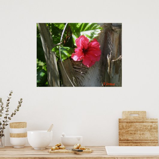 Amapola enamorada del Palmar Poster (Küche)