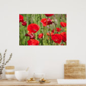 Amapolas Poster (Küche)