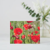 Amapolas Postkarte (Stehend Vorderseite)