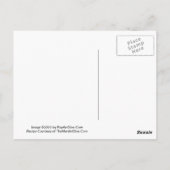 Amaretto Mango Martini Rezept Postkarte (Rückseite)