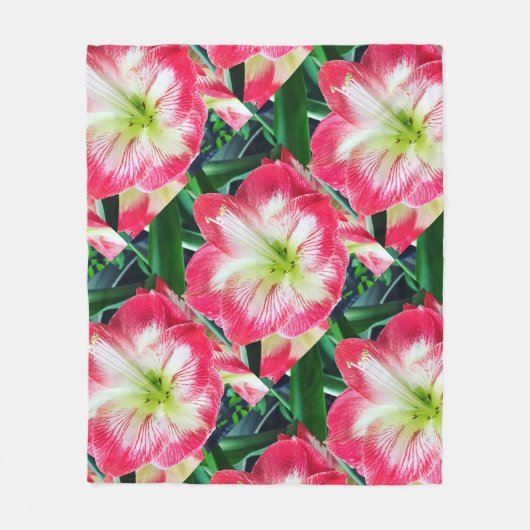 Amarilis pinkfarbene weiße Blume Fleecedecke (Vorderseite)