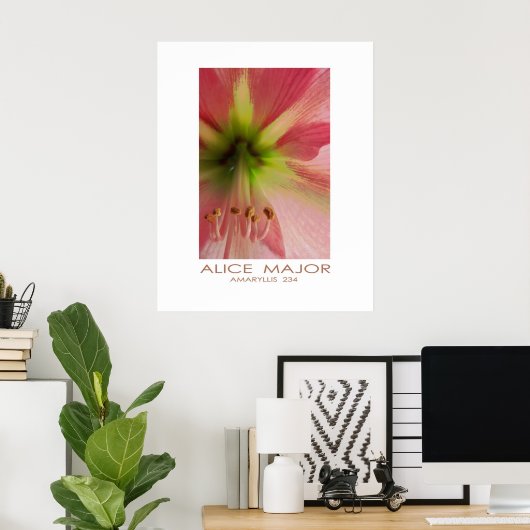 Amaryllis 234 poster (Heimbüro)