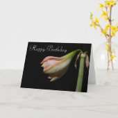 Amaryllis 53 B'Day ~ card Karte (Gelbe Blume)