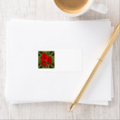 Amaryllis Address Labels Adressaufkleber (Insitu)