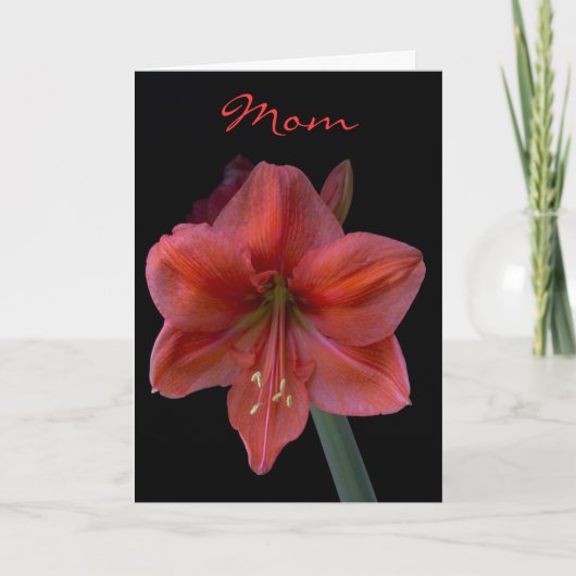 Amaryllis am schwarzen Tag der Mutter Karte (Vorderseite)