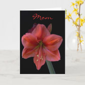 Amaryllis am schwarzen Tag der Mutter Karte (Gelbe Blume)