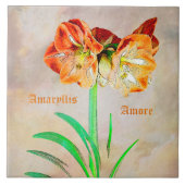 Amaryllis Amore Fliese (Vorderseite)