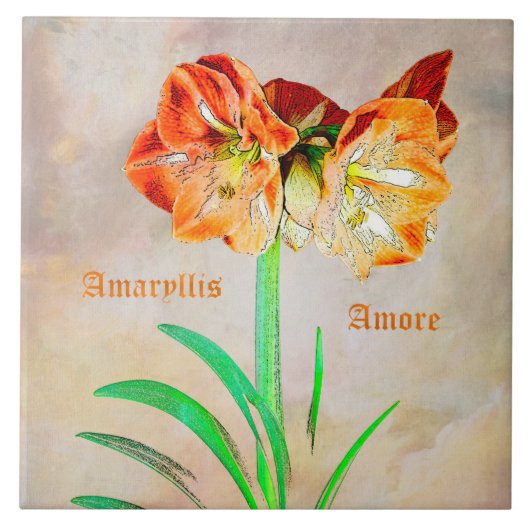 Amaryllis Amore Fliese (Vorderseite)