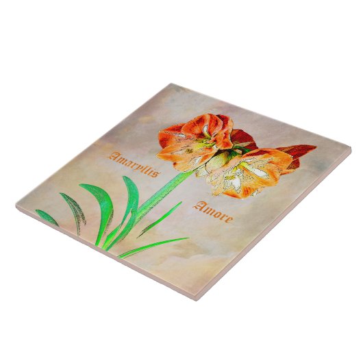 Amaryllis Amore Fliese (Seite)