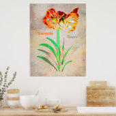 Amaryllis Amore Poster (Küche)