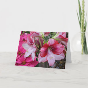 Amaryllis and Poinsettia Red Holiday Flowers Feiertagskarte