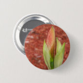 Amaryllis Apfelblüte Blume Button (Vorne & Hinten)